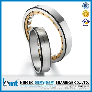 Cylindrical Roller Bearing Nu1021c3